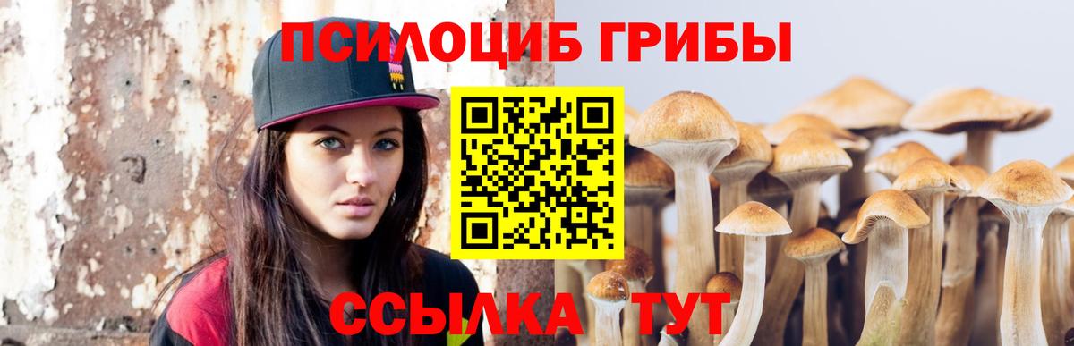 Псилоцибиновые грибы ЛСД Апатиты